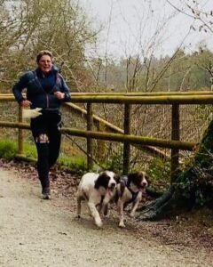 working spaniel also does canicross