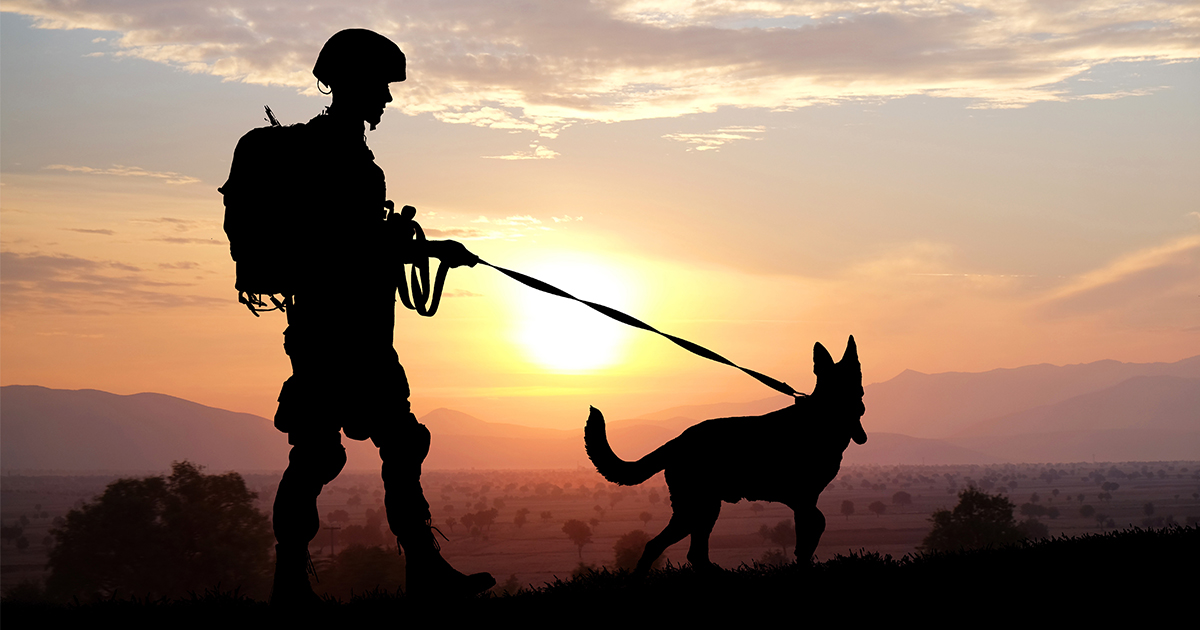 Dog with soldier