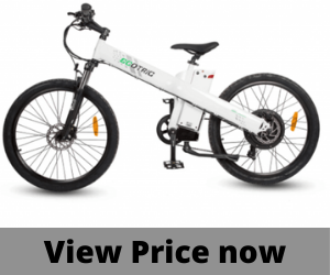 Ecotric 1000w Mountain bike.png