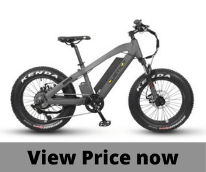 QuietKat 500W ripper electric bike